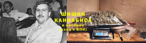 2c-b Новозыбков