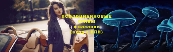 2c-b Новозыбков