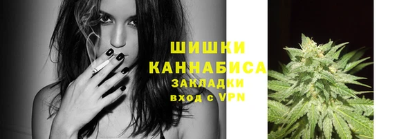 соль ск Новокубанск