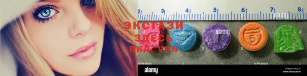 2c-b Новозыбков