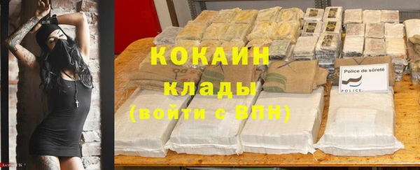 2c-b Новозыбков