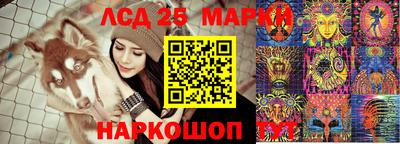 спайс Берёзовский