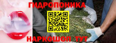 бошки Гагарин