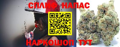 бошки Гагарин