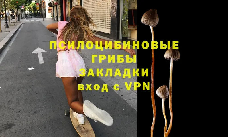 Галлюциногенные грибы Magic Shrooms  что такое   Губкин 