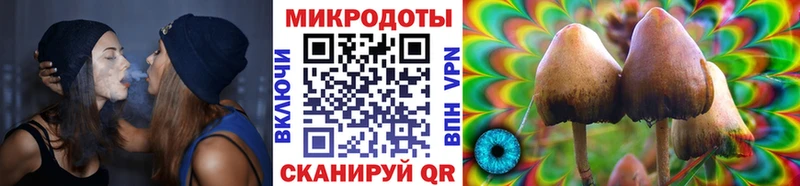 Псилоцибиновые грибы MAGIC MUSHROOMS  Губкин 