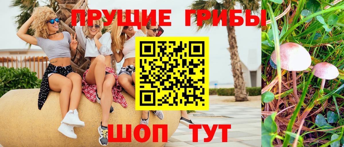 Псилоцибиновые грибы ЛСД Губкин