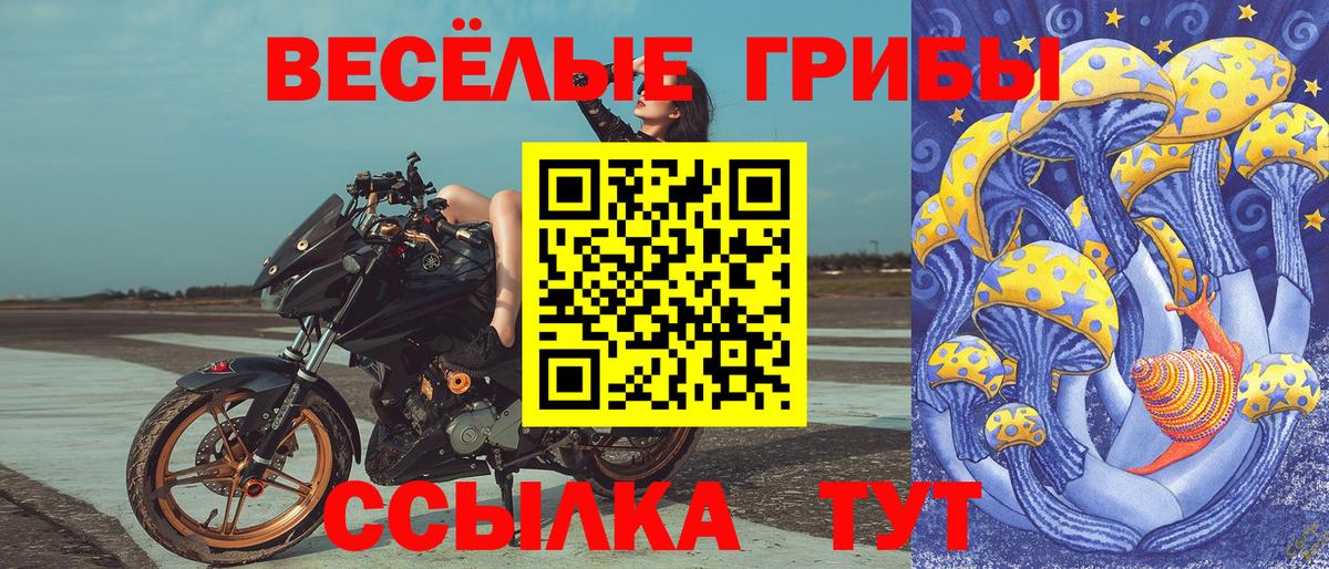 Губкин  Галлюциногенные грибы Psilocybe  Вход с VPN 